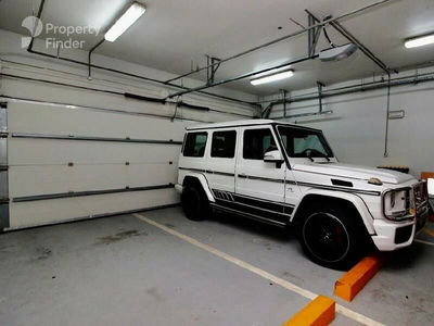 Amber, United Arab Emirates  Amber, United Arab Emirates