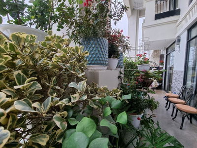 Roman Plaza, Vietnam Roman Plaza, Vietnam