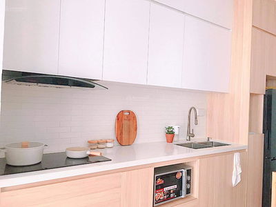 Iris Garden Iris Garden