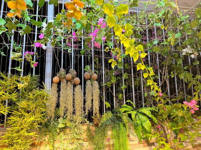 Thanh Ha Muong Thanh Urban Area, Vietnam Thanh Ha Muong Thanh Urban Area, Vietnam