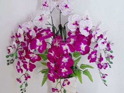 Vung Tau Melody, Vietnam Vung Tau Melody, Vietnam