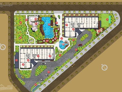 Iris Garden, Vietnam Iris Garden, Vietnam