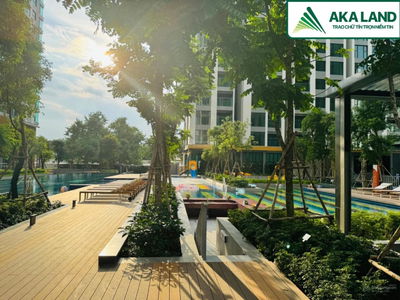 Of The Sun, Vietnam Of The Sun, Vietnam