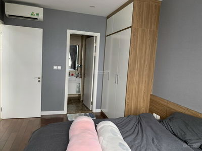 Vinhomes D'Capitale, Vietnam Vinhomes D'Capitale, Vietnam