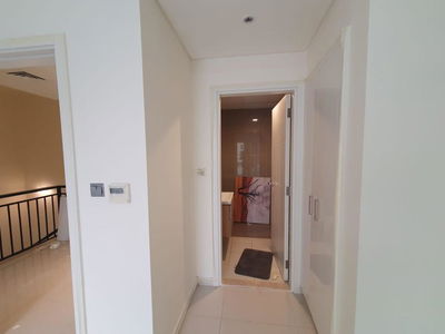 Centaury, United Arab Emirates  Centaury, United Arab Emirates