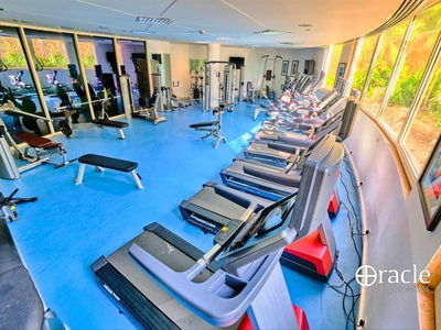 Rose, United Arab Emirates  Rose, United Arab Emirates