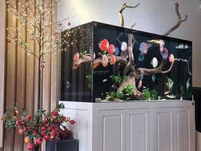 Thong Nhat Complex, Vietnam Thong Nhat Complex, Vietnam