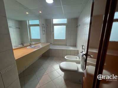 Rose, United Arab Emirates  Rose, United Arab Emirates