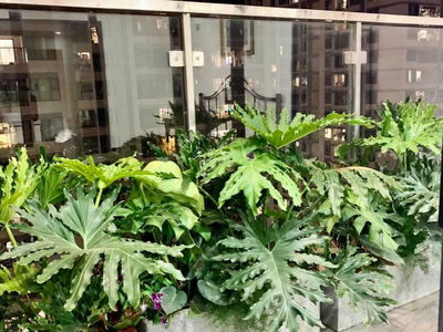 Licogi 13 Tower, Vietnam Licogi 13 Tower, Vietnam