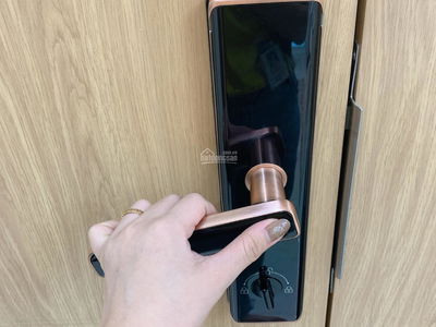 Iris Tower, Vietnam Iris Tower, Vietnam