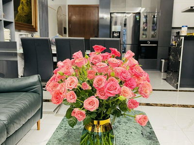 Eco Lake View, Vietnam Eco Lake View, Vietnam