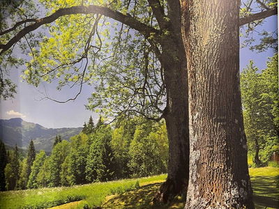 Apartment, Vietnam Apartment, Vietnam