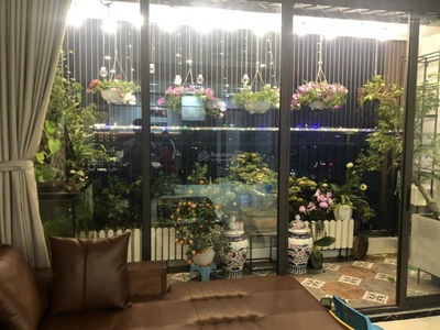 Hapulico Complex, Vietnam Hapulico Complex, Vietnam