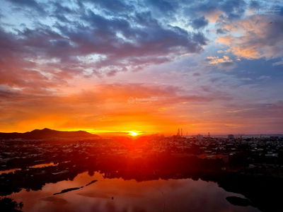 Dic Phoenix, Vietnam Dic Phoenix, Vietnam