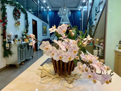 Royal City, Vietnam Royal City, Vietnam