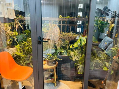 La Casta Van Phu, Vietnam La Casta Van Phu, Vietnam