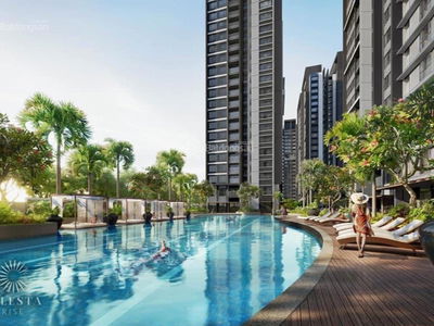 Celesta laughed, Vietnam Celesta laughed, Vietnam