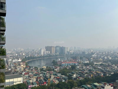 Green Diamond, Vietnam Green Diamond, Vietnam