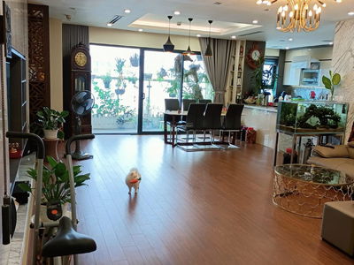 The Pride, Vietnam The Pride, Vietnam