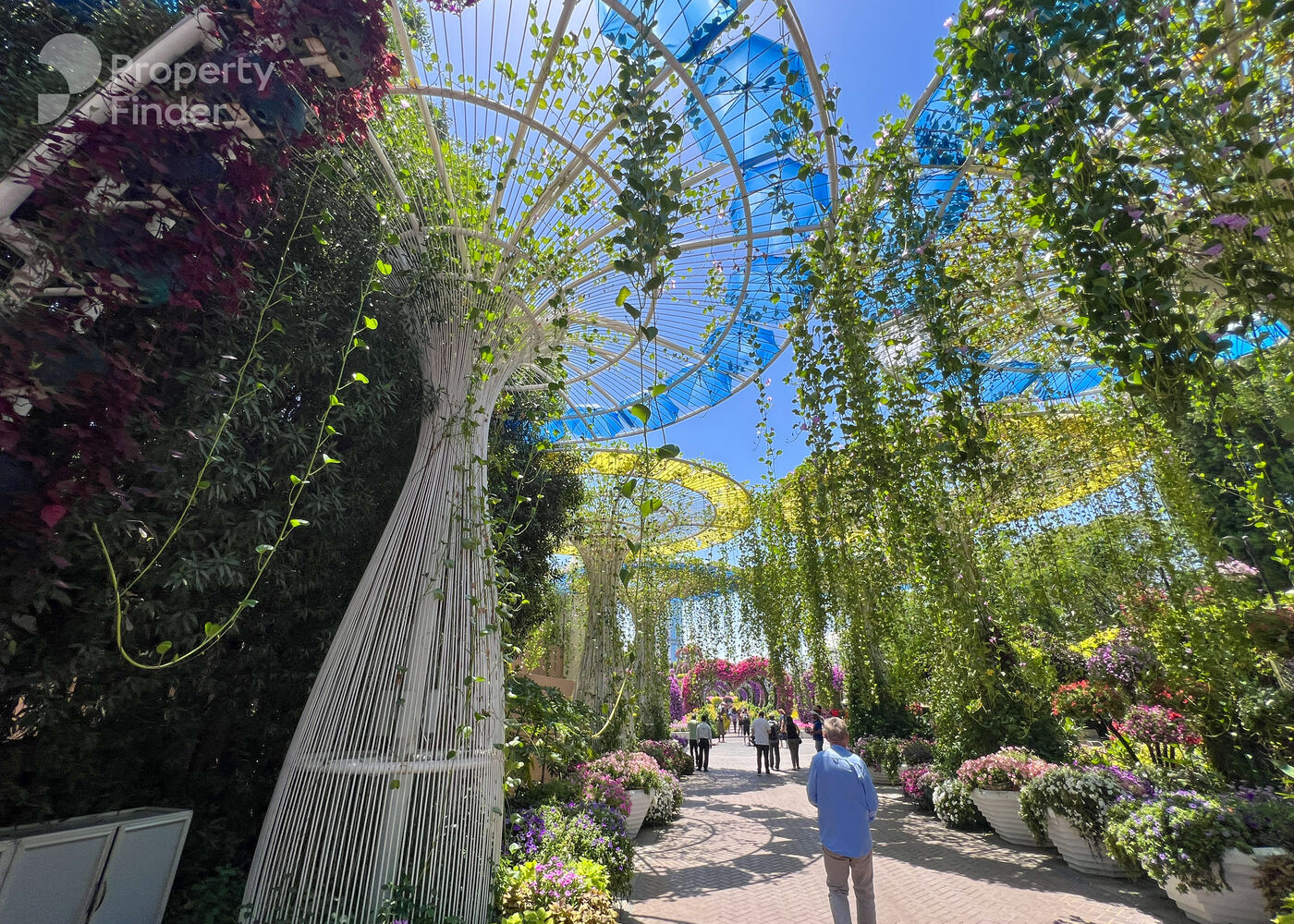 Samana Greens Samana Greens