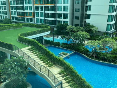 Happy In View Happy In View