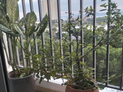 Anh Duong, Vietnam Anh Duong, Vietnam