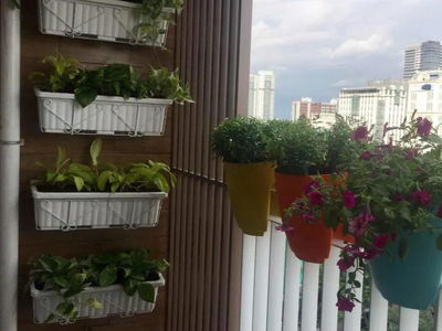 Scenic Valley, Vietnam Scenic Valley, Vietnam