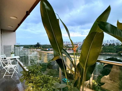 Scenic Valley, Vietnam Scenic Valley, Vietnam