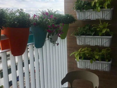 Scenic Valley, Vietnam Scenic Valley, Vietnam