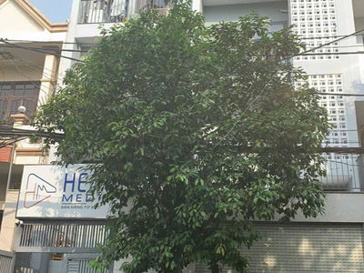 Housing in Ho Chi Minh City, Vietnam Housing in Ho Chi Minh City, Vietnam