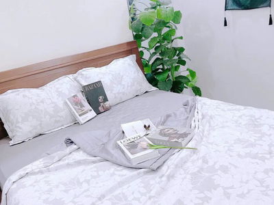 Housing in Ho Chi Minh City, Vietnam Housing in Ho Chi Minh City, Vietnam