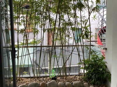 Alojamiento en Ho Chi Minh City, Vietnam Alojamiento en Ho Chi Minh City, Vietnam