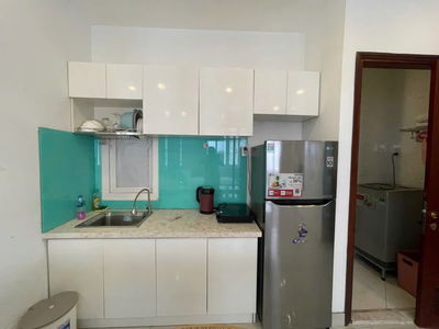 Housing in Ho Chi Minh City, Vietnam Housing in Ho Chi Minh City, Vietnam