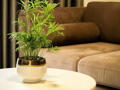 Masteri Centre Point, Vietnam Masteri Centre Point, Vietnam