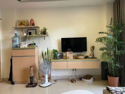 Housing in Ho Chi Minh City, Vietnam Housing in Ho Chi Minh City, Vietnam