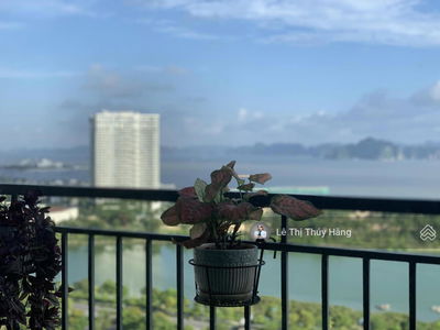 Green Bay Garden, Vietnam  Green Bay Garden, Vietnam