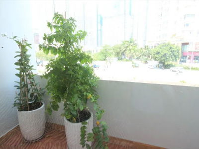 Alojamiento en Ho Chi Minh City, Vietnam Alojamiento en Ho Chi Minh City, Vietnam