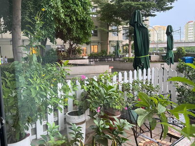 Mastery, Vietnam Mastery, Vietnam