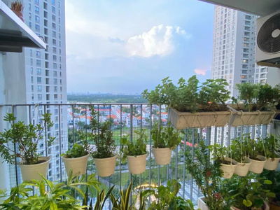 Mastery, Vietnam Mastery, Vietnam