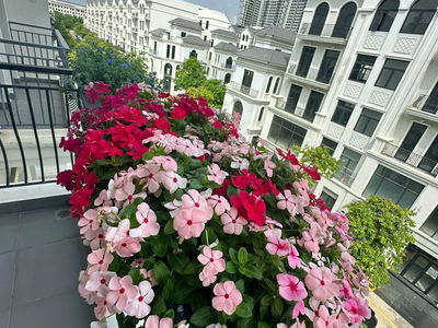 Logement dans Ho Chi Minh City, Vietnam Logement dans Ho Chi Minh City, Vietnam