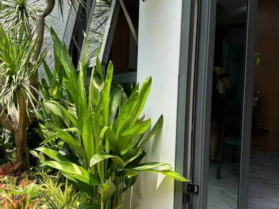 Housing in Ho Chi Minh City, Vietnam Housing in Ho Chi Minh City, Vietnam