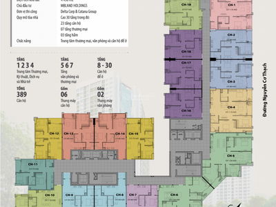 Golden Field My Dinh, Vietnam Golden Field My Dinh, Vietnam