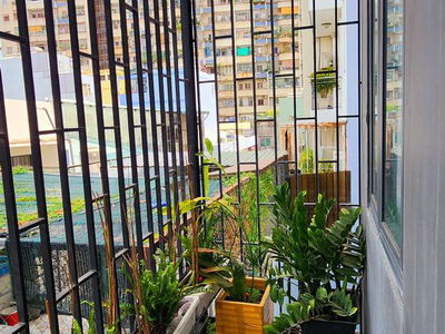 Alojamiento en Ho Chi Minh City, Vietnam Alojamiento en Ho Chi Minh City, Vietnam