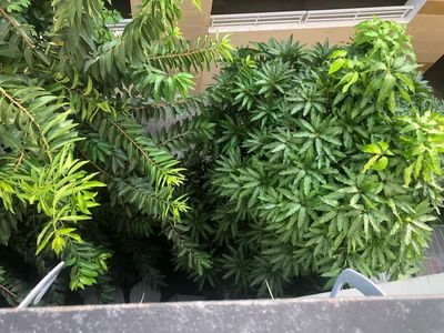 Жилье в Ho Chi Minh City, Vietnam  Жилье в Ho Chi Minh City, Vietnam