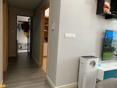 Celadon, Vietnam Celadon, Vietnam