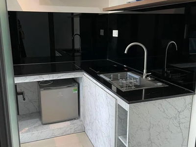 Golden King, Vietnam Golden King, Vietnam