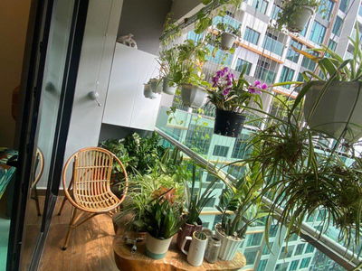 Happy In View, Vietnam  Happy In View, Vietnam