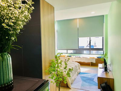 Housing in Ho Chi Minh City, Vietnam Housing in Ho Chi Minh City, Vietnam