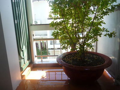 Жилье в Ho Chi Minh City, Vietnam Жилье в Ho Chi Minh City, Vietnam