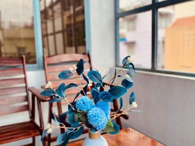 Alojamiento en Ho Chi Minh City, Vietnam Alojamiento en Ho Chi Minh City, Vietnam